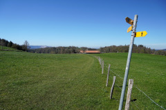 DSC08498