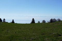 DSC08503