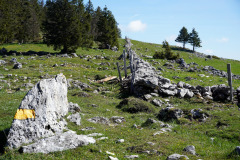 DSC08512