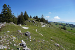 DSC08515