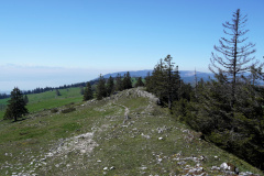 DSC08516
