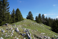 DSC08518