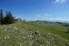 DSC08519