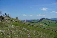 DSC08522