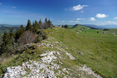 DSC08529