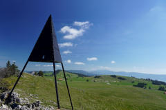 DSC08533