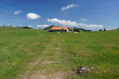 DSC08541
