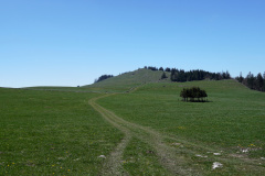 DSC08546