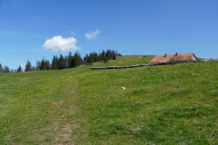 DSC08549