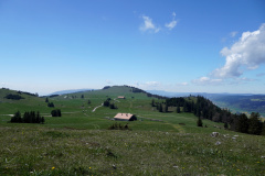 DSC08552