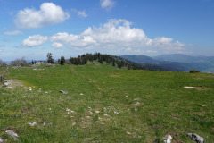 DSC08556