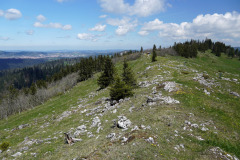 DSC08557