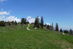 DSC08560