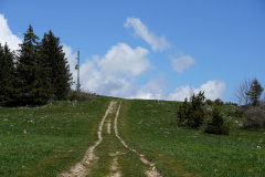 DSC08564