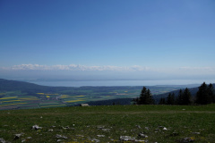 DSC08585