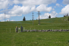 DSC08595
