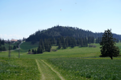 DSC08598