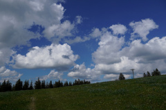 DSC08601