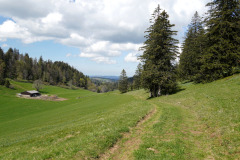 DSC08602
