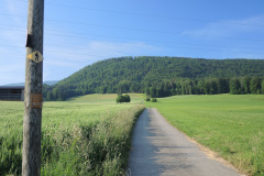 DSCN4567