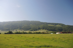 DSCN4571