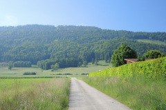 DSCN4573
