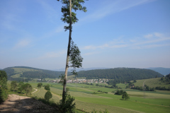 DSCN4576