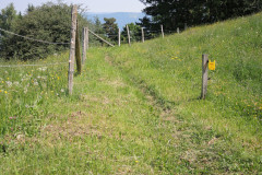 DSCN4577