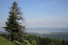 DSCN4581