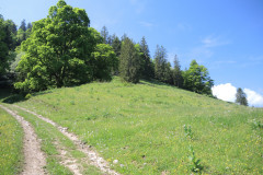 DSCN4584