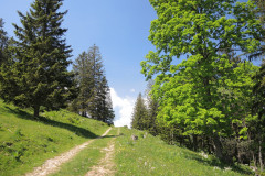DSCN4591