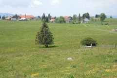 DSCN4596