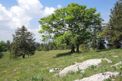 DSCN4598