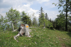 DSCN4612
