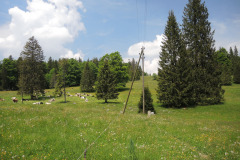 DSCN4614