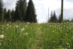 DSCN4617