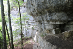 DSCN4622