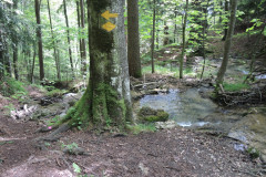 DSCN4627