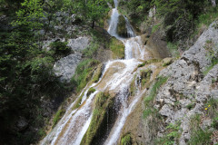 DSCN4631