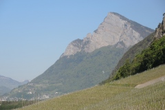 DSCN3441