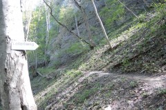 DSCN3446
