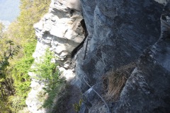 DSCN3458