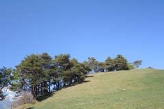 DSCN3468