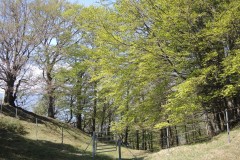DSCN3476