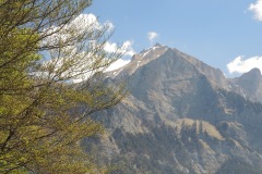 DSCN3478