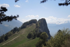 DSCN3480