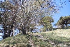 DSCN3484