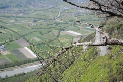 DSCN3485