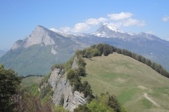 DSCN3489