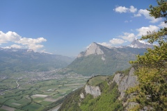 DSCN3492